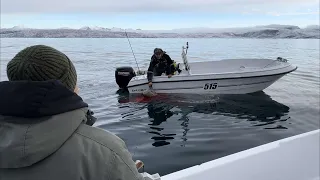 Seal hunt | Puisinniarneq