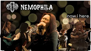 NEMOPHILA - Now I here | This song brought tears to my eyes | BOSS Coffee and JROCK #shreddawg