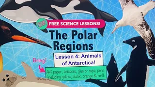 All-ages Home Ed lessons: The Polar Regions 4: Animals of Antarctica!