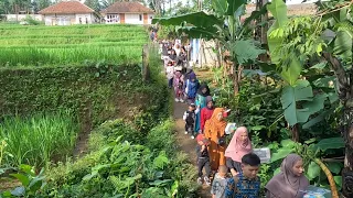 Ini yang Bikin Unik Pernikahan di Kampung. Rombongan Antar Pengantin, Berjalan Kaki Melewati Sawah