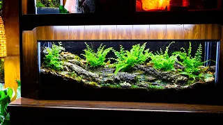 Nature Ambience Chill | Forest Creek Runoff Vivarium (Extended View)