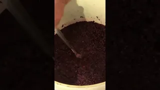 Making Ripasso Wine