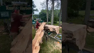 MASSIVE Burly Maple log kicks my butt #sawmill #woodmill #woodwork #woodworking #liveedge #wood #diy