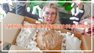 EXCITING Mystery Box Wishlist Houseplant Haul!