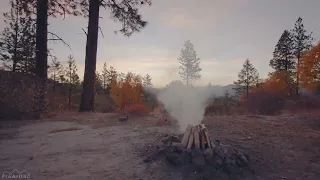 Peaceful Campfire at Sunrise   4K Nature Relaxation Video with Crackling Fire Sounds