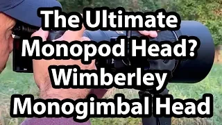 The Ultimate Monopod Head? Wimberley Monogimbal Head Review