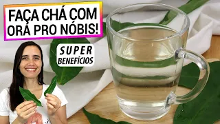 COMECE A TOMAR CHÁ DE ORA PRO NÓBIS! SUPER ALIMENTO, APRENDA A FAZER DO JEITO CERTO!