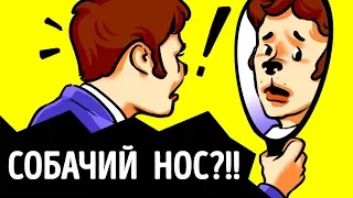 Что, если однажды у вас появится собачий нюх