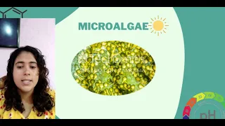 The microalgae use for wastewater treatment and biomass production