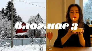 самый новогодний VLOGMAS #3 🎄⭐️ за ёлкой в лес, большая распаковка подарков и лучший день рождения