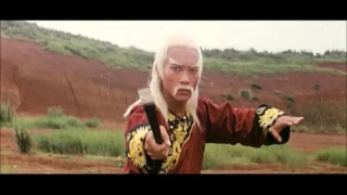 Snake Kung Fu and iron fan