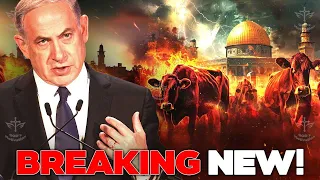 Israel START TODAY The Preparation to Sacrifice RED HEIFERS at Dome Of The Rock RED HEIFER UPDATE