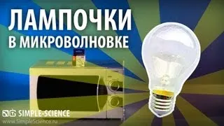 Микроволновка и лампочки - физические опыты