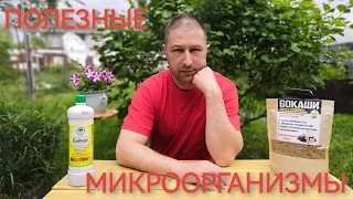 Байкал-М. Бокаши. Полезные микроорганизмы в почве! Кто это и как они работают!?