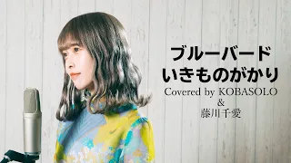 ブルーバード /いきものがかり (Covered by コバソロ & 藤川千愛)