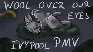 Wool Over Our Eyes - Ivypool PMV [Warrior Cats]