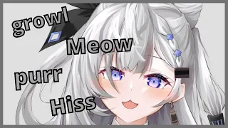 Zeta imitates different sounds of cat with a bonus Hi Honey~