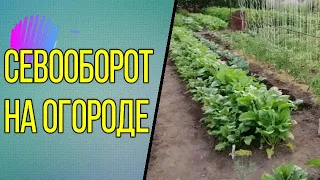 👩🏻‍🌾🌱КАК СОБЛЮДАТЬ СЕВООБОРОТ НА ОГОРОДЕ. ДЕЛЮСЬ СВОИМ 15-летним ОПЫТОМ