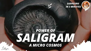 The special power of Saligram (a micro cosmos) | Sadhguru in 3 mins