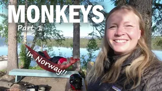 Monkeys in Norway! PART 1 of 3