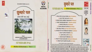 Sunehre Pal !! Golden Collection ~ Vol.3 !! Debashish Dasgupta & Anuradha Paudwal@shyamalbasfore