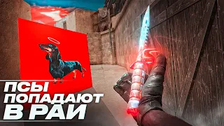 псы попадут в рай - ПОЛМАТЕРИ✨ | standoff 2 | fragmovie standoff 2 | мувик стандофф | iphone 7