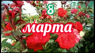 С 8 марта поздравляем!!!