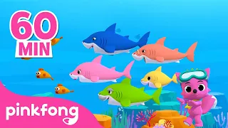 Baby Shark Doo Doo Doo en français | +Comptines 60 Min | Pinkfong! Chansons pour Enfants