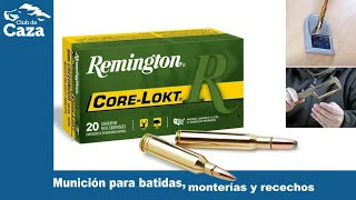 Remington Core-Lokt: una bala para caza analizada en profundidad