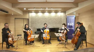 Pachelbel–Canon for five cellos (Cello Quintet)