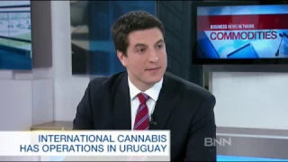 CEO Guillermo Delmonte explains ICC and its plans on BNN