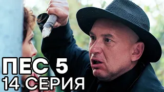 Сериал ПЕС - 5 сезон - 14 серия - ВСЕ СЕРИИ смотреть онлайн | СЕРИАЛЫ ICTV