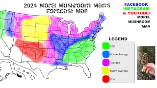 2024 Morel Mushroom forecast! Will your area be a boom or bust Morel Season?