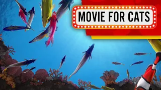 Movie For Cats - 🐠 Catching Fish (View from the bottom of the Ocean) 4K 1 hour