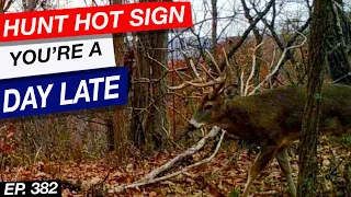 If You're Hunting Hot Sign, You're A Day Behind | Brandon Barlow