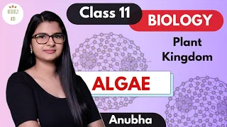 Class 11 || Algae (Plant Kingdom) || NCERT