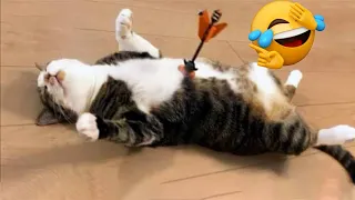 🤣Funniest Animal 2023 |😂Funny Dog🐶 & Cat😻 Videos | Part-92 Fact Animals