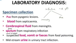 Microbiology practical (important questions about bacteria)