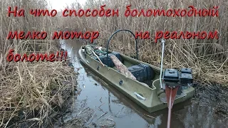 На что способен болотоходный мелко мотор на реальном болоте!!!