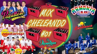 🍻 Mix CHELEANDO #01 (Caribeños ,La Unica Tropical ,Papillon ,Armonia 10 , Mallanep) Dj Jhonathan
