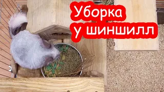 Генеральная уборка у Нюши и Крошика