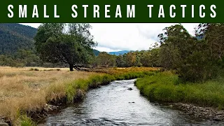 Fly Fishing - Gorgeous Trout Stream in North East Victoria