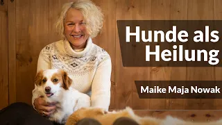 Der Hund als Spiegel des Menschen |  @MajaNowakHeilung   Maike Maja Nowak | Live