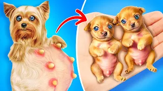 HELP! MY DOG IS PREGNANT🐶 *Useful Pet Gadgets That Will Solve All Your Daily Problems*