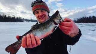 Ice Fishing for Brookies
