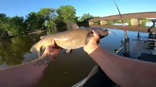 (New Spot) Turns into NON-STOP ACTION all morning!!! Ended up getting a SHOWER from a FISH.