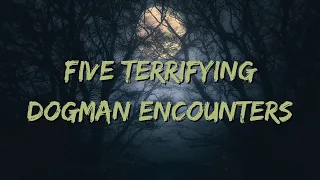 Five Terrifying Dogman Encounters
