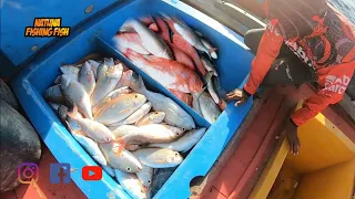 tak di sangka Mancing Ikan Karang Kedalaman 70 Meter dapat banyak