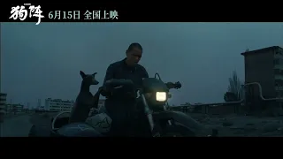 Trailer de Black Dog — 狗阵