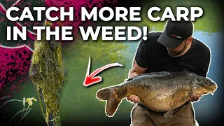 CATCH MORE CARP IN THE WEED USING THESE TACTICS 👌 🔥